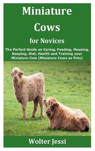 Miniature Cows for Novices