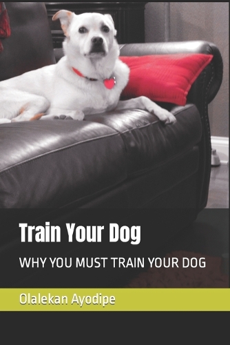 Train Your Dog: Why You Must Train Your Dog