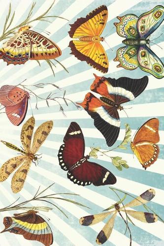 Vintage Butterfly Butterflies Monarch Journal: Blank Lined Paper Notebook Memory Book - Funny Diary Journal Gift For Her Co Worker Friend Sister to Write in - For Work School Teachers Students Ki