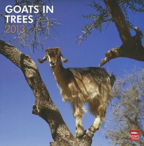 Goats in Trees