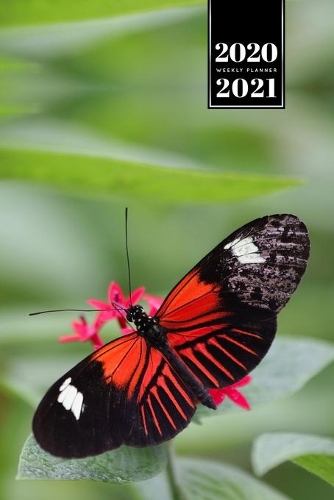 Butterfly Butterflies Insect Week Planner Weekly Organizer Calendar 2020 / 2021 - On a Leaf