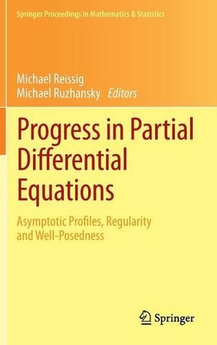 Progress in Partial Differential Equations: Asymptotic Profiles, Regularity and Well-Posedness(44 Springer Proceedings in Mathematics & Statistics)