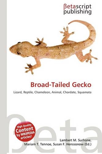 Broad-Tailed Gecko
