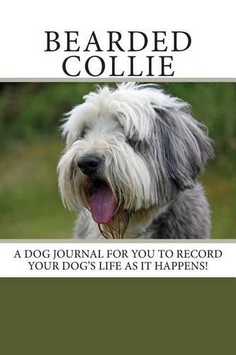 Bearded Collie