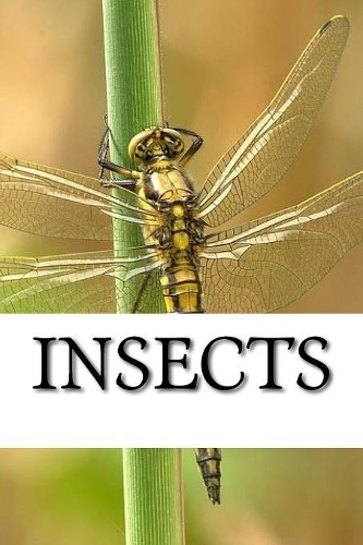 Insects
