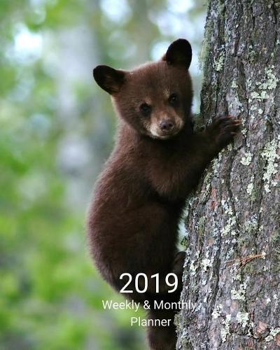 2019 Weekly and Monthly Planner