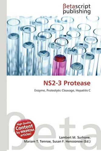 Ns2-3 Protease