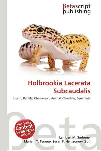Holbrookia Lacerata Subcaudalis