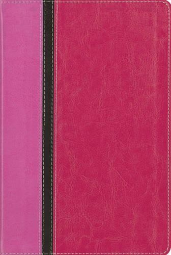 Quest Study Bible-NIV