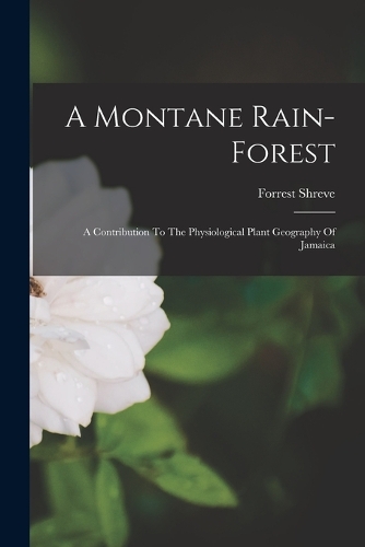 A Montane Rain-forest