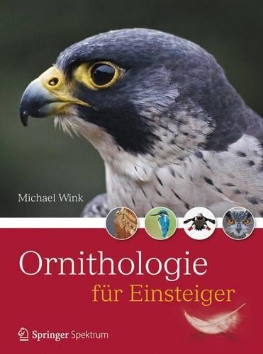 Ornithologie Für Einsteiger