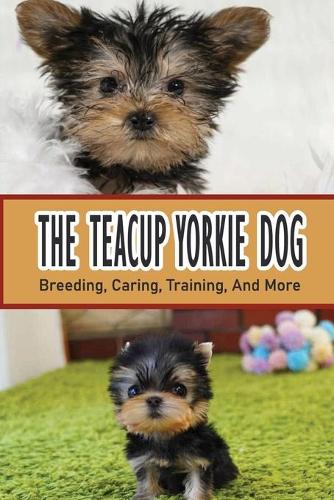 The Teacup Yorkie Dog: Breeding, Caring, Training, And More: Expenses To Consider Before Purchasing A Teacup Yorkie