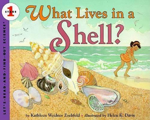 What Lives In A Shell