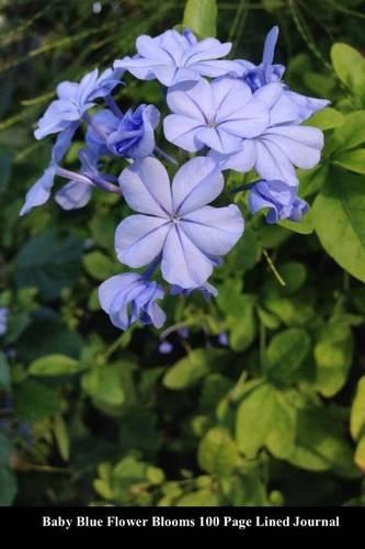 Baby Blue Flower Blooms 100 Page Lined Journal: Blank 100 Page Lined Journal for Your Thoughts, Ideas, and Inspiration(English)