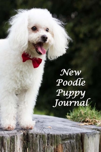 New Poodle Puppy Journal