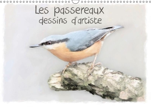 Les passereaux dessins d'artiste 2018