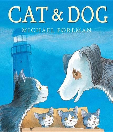 Cat & Dog: (Andersen Press Picture Books (Hardcover))