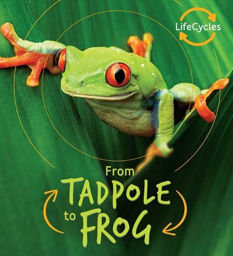 From Tadpole to Frog: (Life Cycles)