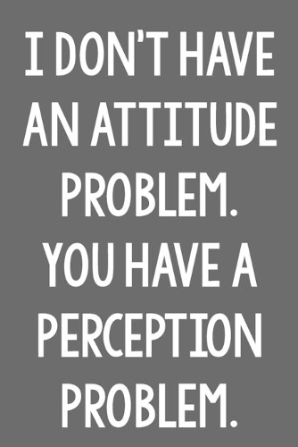 I Don't Have an Attitude Problem. You Have a Perception Problem.