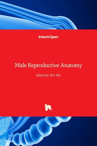 Male Reproductive Anatomy