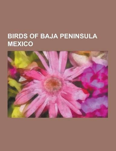 Birds of Baja Peninsula Mexico