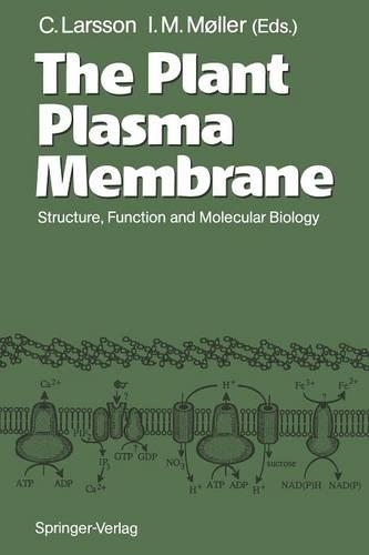 The Plant Plasma Membrane