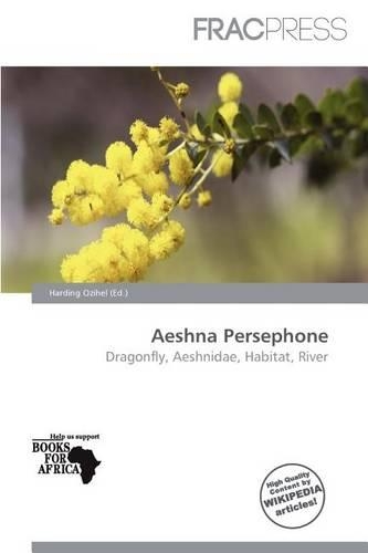 Aeshna Persephone