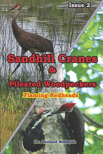 Sandhill Cranes & Pileated Woodpeckers