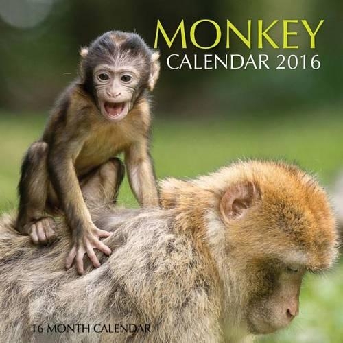 Monkey Calendar 2016