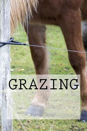Grazing