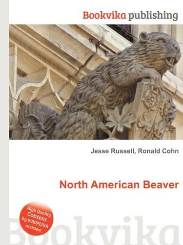 North American Beaver