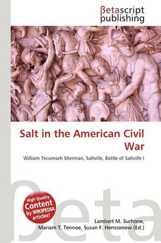 Salt in the American Civil War