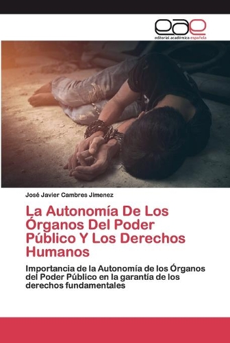 La Autonomía De Los Órganos Del Poder Público Y Los Derechos Humanos