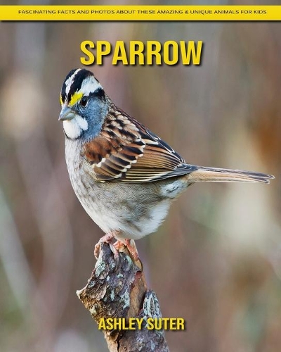 Sparrow