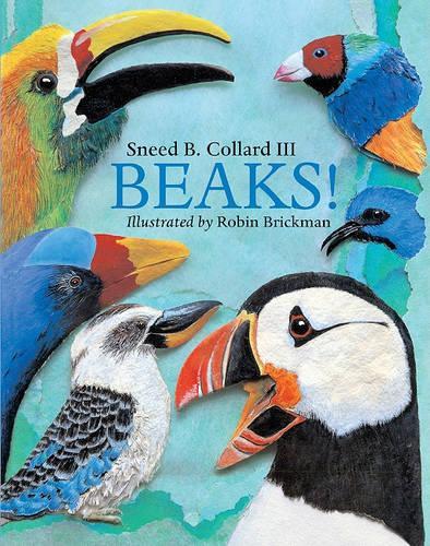 Beaks