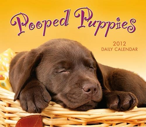 Pooped Puppies 2012 Calendar
