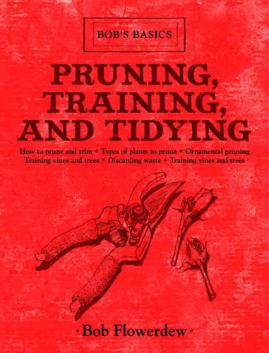 Pruning, Training, and Tidying: Bob's Basics(Bob's Basics)