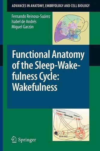 Functional Anatomy of the Sleep-Wakefulness Cycle: Wakefulness