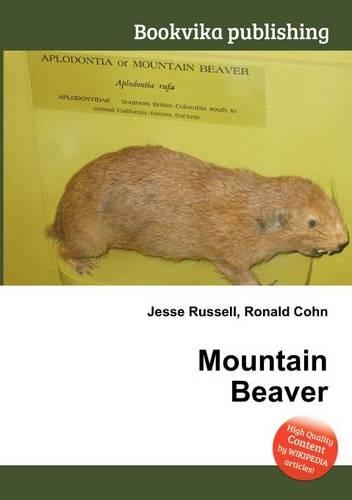 Mountain Beaver: (English)