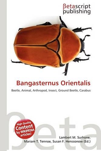 Bangasternus Orientalis