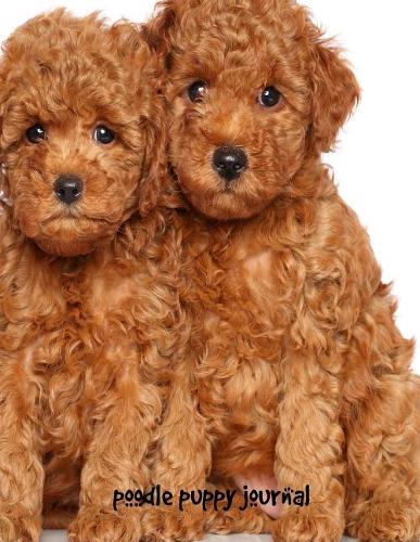 Poodle Puppy Journal