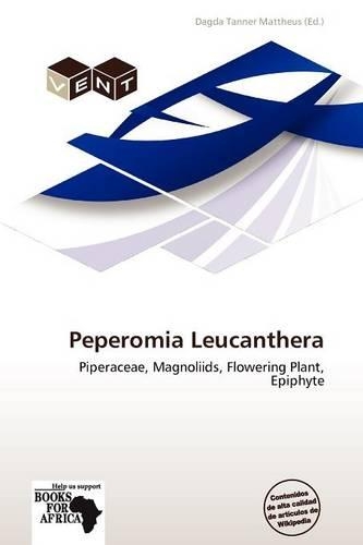 Peperomia Leucanthera: (Spanish)