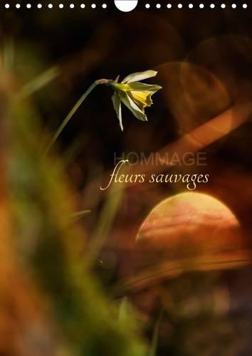 Hommage Fleurs Sauvages 2017
