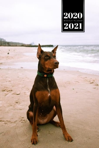 Doberman Dog Calendar Week Planner 2020 / 2021 - Rough Sea: Pup Puppy Doggie Pet Owner Weekly Bullet Journal Notebook Diary in 6" x 9" Inch Pocket Size