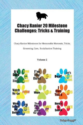 Chacy Ranior 20 Milestone Challenges