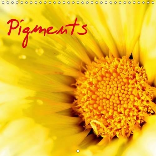 Pigments 2017: Macro De Fleurs(Calvendo Nature)