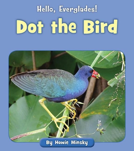 Dot the Bird: (Hello, Everglades!)