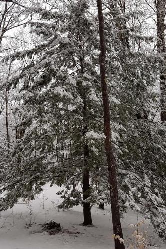 Journal Winter Picture Beautiful