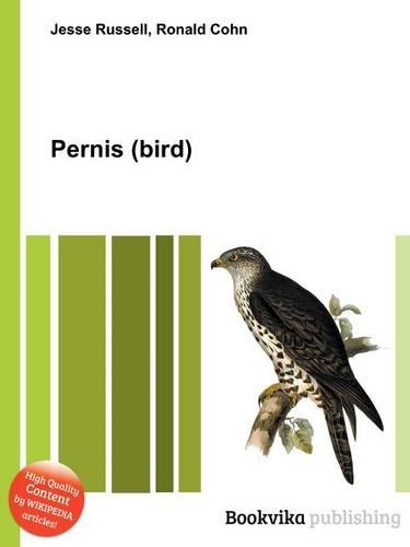 Pernis (Bird)