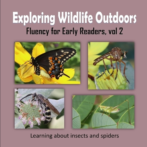 Exploring Wildlife Outdoors